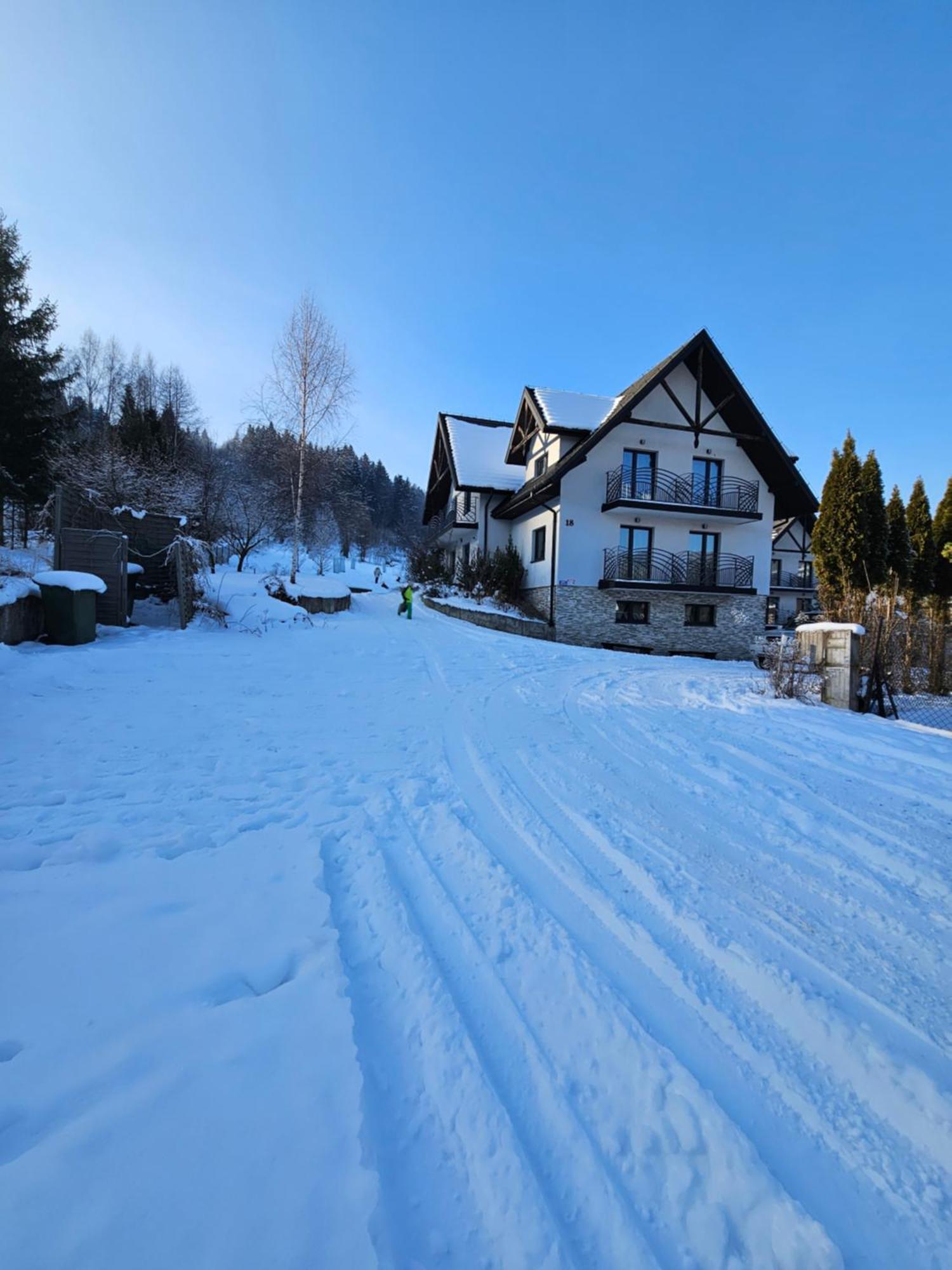 Otulina Park Bed and Breakfast Szczawnica Eksteriør billede