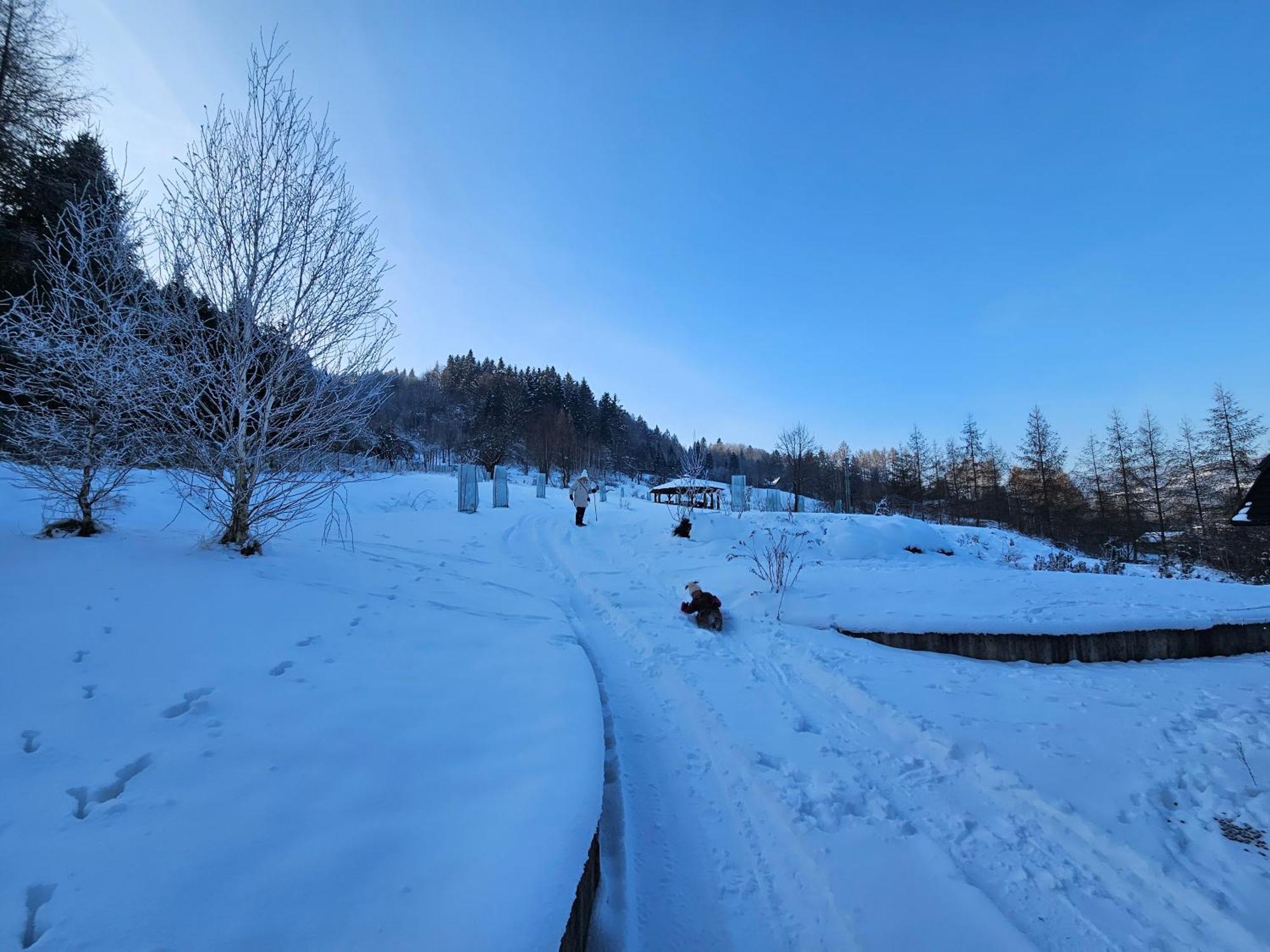 Otulina Park Bed and Breakfast Szczawnica Eksteriør billede