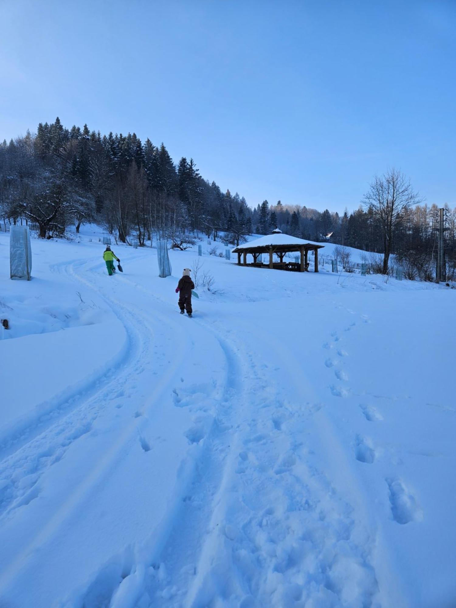 Otulina Park Bed and Breakfast Szczawnica Eksteriør billede
