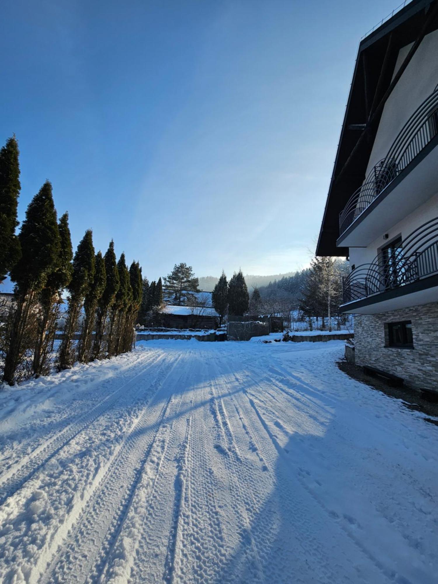 Otulina Park Bed and Breakfast Szczawnica Eksteriør billede