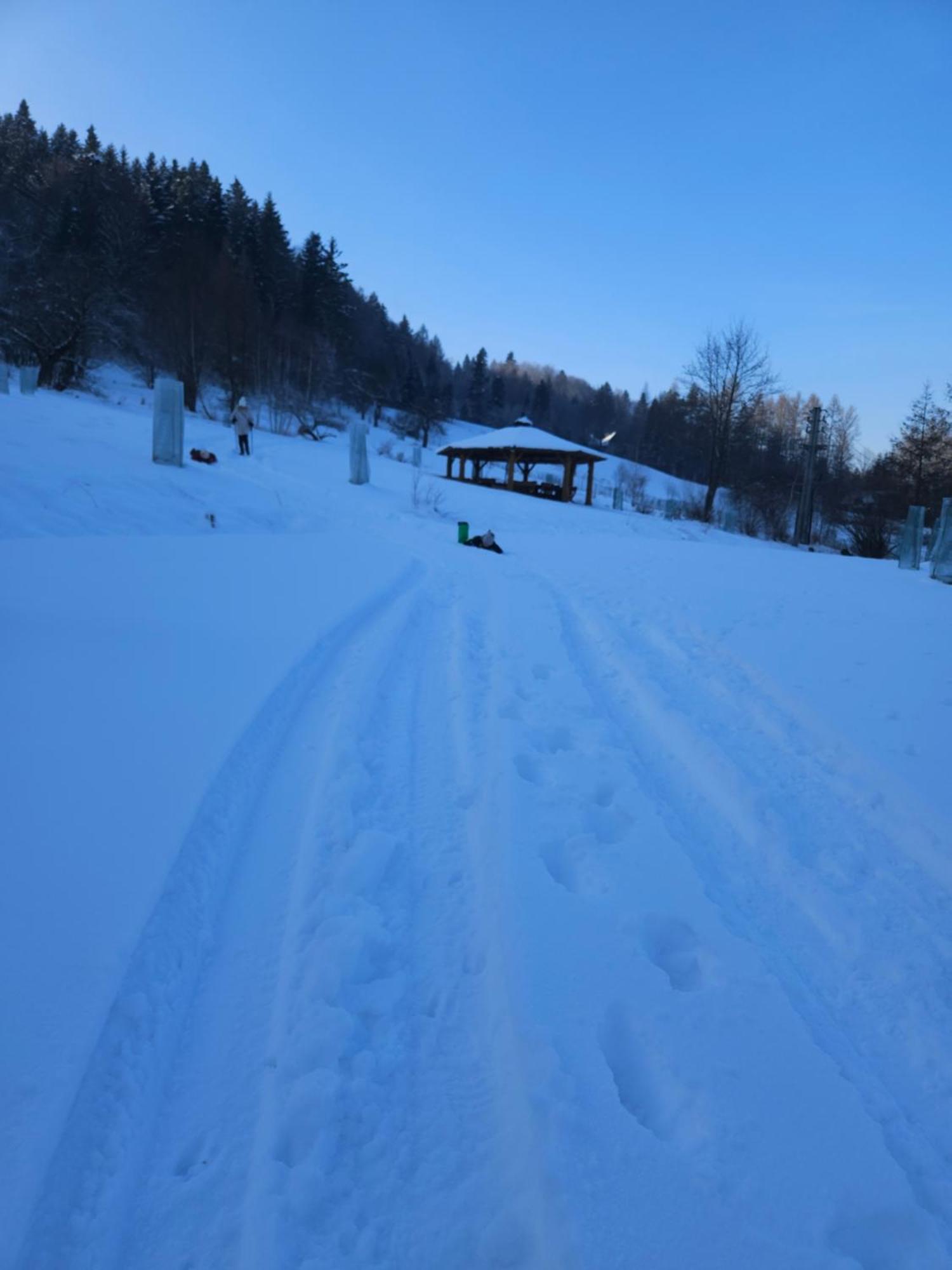 Otulina Park Bed and Breakfast Szczawnica Eksteriør billede